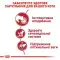 Вологий корм Royal Canin Instinctive для кішок, шматочки в соусі, 85 г