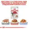 Вологий корм Royal Canin Instinctive для кішок, шматочки в соусі, 85 г