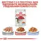 Вологий корм Royal Canin Instinctive для кішок, шматочки в желе, 85 г