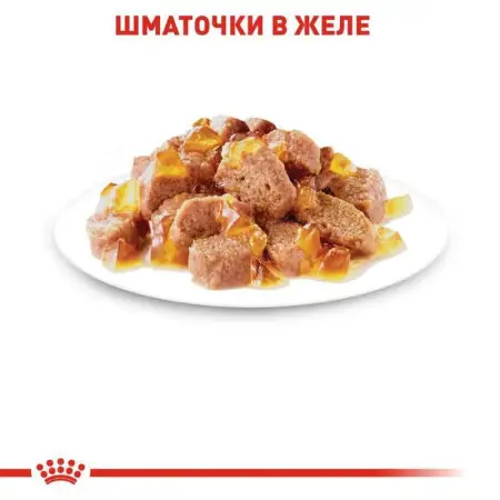 Вологий корм Royal Canin Instinctive для кішок, шматочки в желе, 85 г