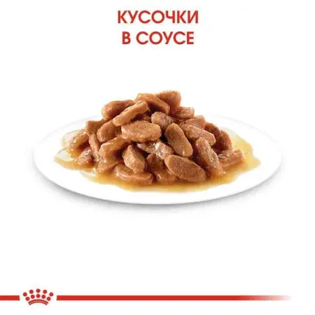 Вологий корм Royal Canin Kitten для кошенят від 4 до 12 місяців, шматочки в желе, 85 г