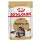 Вологий корм Royal Canin Maine Coon Adult для мейн-кунів, шматочки в соусі, 85 г