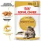 Вологий корм Royal Canin Maine Coon Adult для мейн-кунів, шматочки в соусі, 85 г