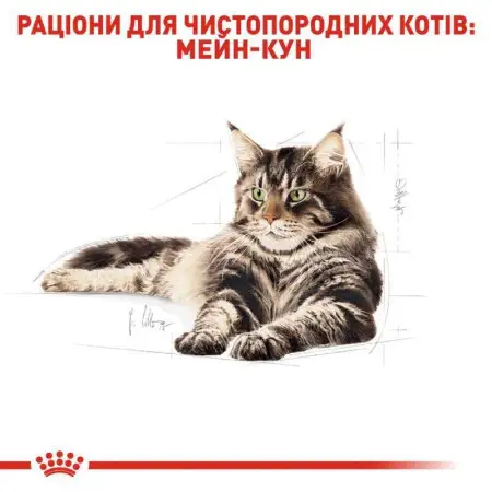 Вологий корм Royal Canin Maine Coon Adult для мейн-кунів, шматочки в соусі, 85 г