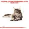 Вологий корм Royal Canin Maine Coon Adult для мейн-кунів, шматочки в соусі, 85 г