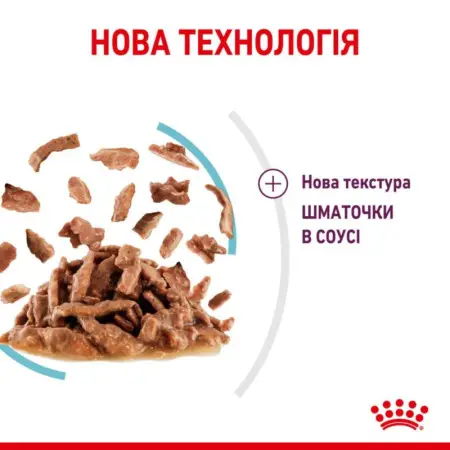 Влажный корм Royal Canin Sensory Feel Gravy для прихотливых кошек, кусочки в соусе, 85 г
