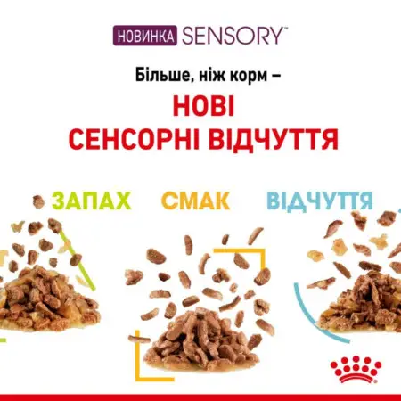Влажный корм Royal Canin Sensory Feel Gravy для прихотливых кошек, кусочки в соусе, 85 г
