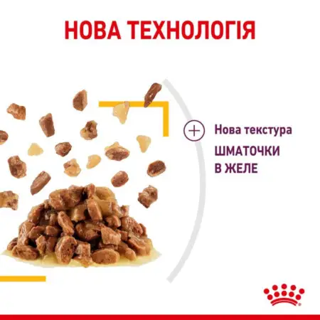 Влажный корм Royal Canin Sensory Taste Jelly для кошек требовательных по вкусу, кусочки в желе, 85 г