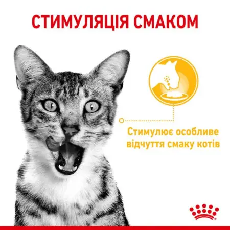 Влажный корм Royal Canin Sensory Taste Jelly для кошек требовательных по вкусу, кусочки в желе, 85 г