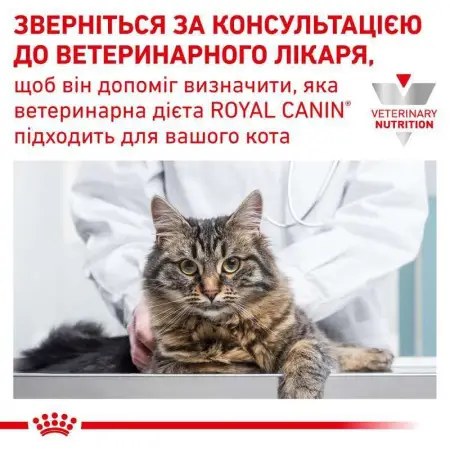 Влажный корм Royal Canin Skin & Coat при дерматозе и выпадении шерсти у кошек, 85 г