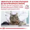 Влажный корм Royal Canin Skin & Coat при дерматозе и выпадении шерсти у кошек, 85 г