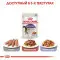 Влажный корм Royal Canin Sterilised Jelly для стерилизованных кошек старше 12 месяцев, кусочки в желе, 85 г