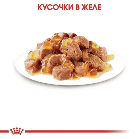 Влажный корм Royal Canin Sterilised Jelly для стерилизованных кошек старше 12 месяцев, кусочки в желе, 85 г