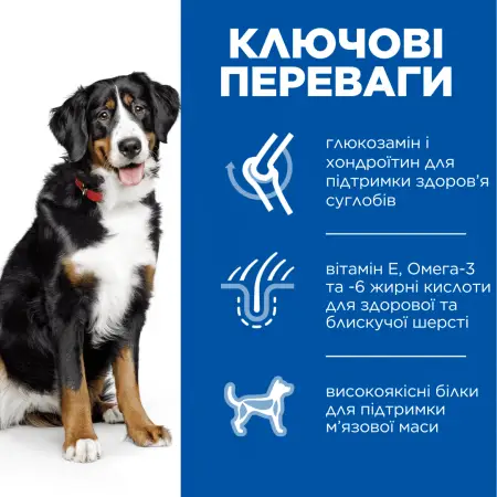 Hill's SCIENCE PLAN Adult Large Breed Сухой корм для взрослых собак больших пород, с ягненком и рисом, 14 кг