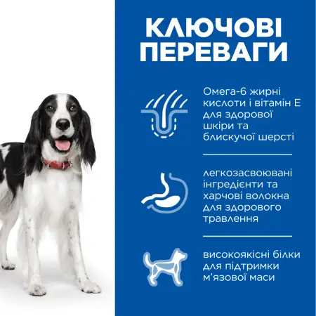 Hill's SCIENCE PLAN Adult Medium Breed Сухой корм для взрослых собак средних пород, с курицей, 2,5 кг