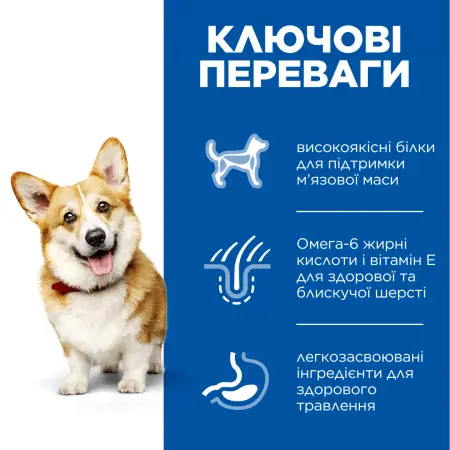 Hill’s SCIENCE PLAN Adult Small&Mini Сухий корм для дорослих собак малих і мініатюрних порід, з ягням і рисом, 6 кг