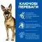 Hill’s SCIENCE PLAN Mature Adult 6+ Large Breed Сухий корм для зрілих собак великих порід від 6 років, з куркою, 14 кг