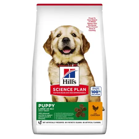 Hill's SCIENCE PLAN Puppy Large Breed Сухой корм для щенков больших пород, с курицей, 2,5 кг