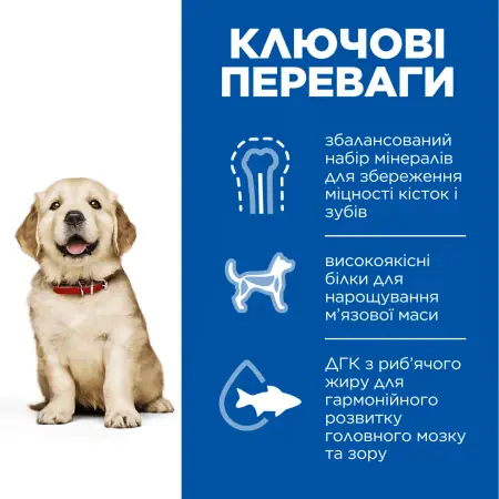 Hill's SCIENCE PLAN Puppy Large Breed Сухой корм для щенков больших пород, с курицей, 2,5 кг