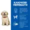 Hill's SCIENCE PLAN Puppy Large Breed Сухой корм для щенков больших пород, с курицей, 2,5 кг