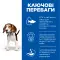 Hill’s SCIENCE PLAN Puppy Medium Breed Сухий корм для цуценят середніх порід, з ягням і рисом, 14 кг