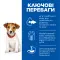 Hill's SCIENCE PLAN Puppy Smal&Mini Сухой корм для щенков малых и миниатюрных пород, с ягненком и рисом, 1,5 кг