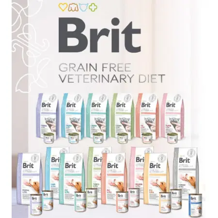 Вологий корм Brit GF VetDiet Hepatic для собак, для підтримки роботи печінки, індичка та горошок, 400 г