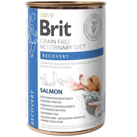 Вологий корм Brit GF VetDiet Recovery для собак та котів, в період одужання, з лососем, 400 г