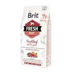 Сухой корм Brit Fresh для щенков и молодых собак больших пород, с говядиной и тыквой, 12 кг