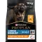 Сухий корм для дорослих собак великих порід Purina Pro Plan Large Robust Adult, з куркою, 14 кг
