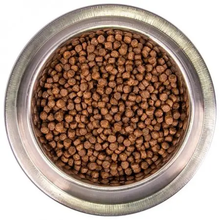 Сухий корм для собак Monge Dog Extra Small Adult ягня та картопля, 800 г