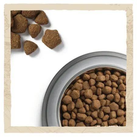 Сухий корм Purina Dog Chow Adult для дорослих собак зі смаком ягняти 2.5 кг