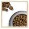 Сухий корм Purina Dog Chow Adult для дорослих собак зі смаком ягняти 2.5 кг