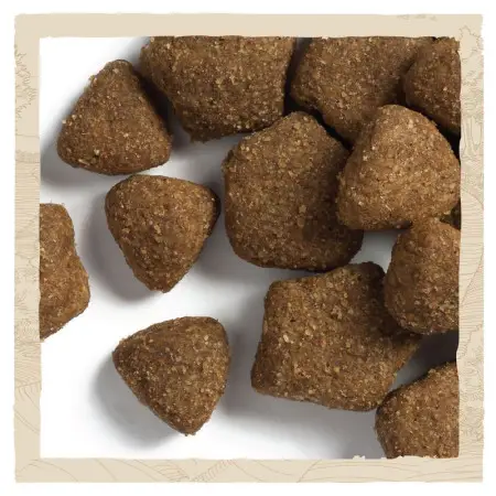 Сухий корм Purina Dog Chow Adult для дорослих собак зі смаком ягняти 2.5 кг