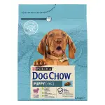 Сухий корм Purina Dog Chow Puppy для цуценят зі смаком ягняти 2,5 кг