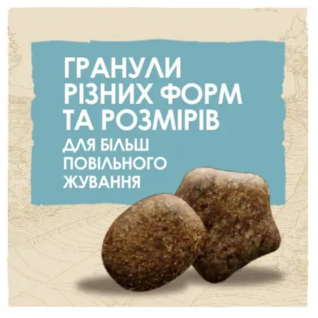 Сухий корм Purina Dog Chow Puppy для цуценят зі смаком ягняти 2,5 кг