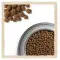 Сухий корм Purina Dog Chow Puppy для цуценят зі смаком ягняти 2,5 кг