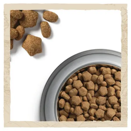 Сухой корм Purina Dog Chow Sensitive для собак с чувствительным пищеварением с лососем 14 кг