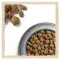 Сухой корм Purina Dog Chow Sensitive для собак с чувствительным пищеварением с лососем 14 кг