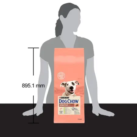 Сухой корм Purina Dog Chow Sensitive для собак с чувствительным пищеварением с лососем 14 кг