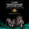 Сухий лікувальний корм Purina Pro Plan Veterinary Diets Gastrointestinal для собак при порушеннях травлення 1.5 кг