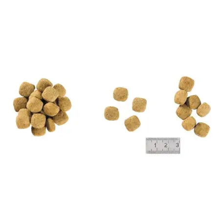 Сухий лікувальний корм Royal Canin Anallergenic для дорослих собак при харчовій алергії, 8 кг