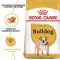 Сухий корм Royal Canin Bulldog Adult для дорослих собак породи Бульдог, 12 кг