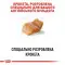 Сухий корм Royal Canin Bulldog Adult для дорослих собак породи Бульдог, 12 кг