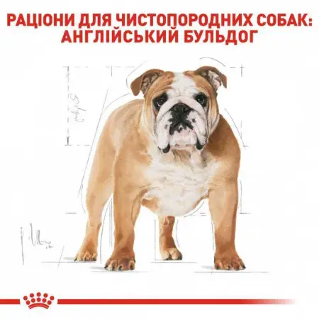 Сухий корм Royal Canin Bulldog Adult для дорослих собак породи Бульдог, 12 кг