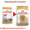 Сухий корм Royal Canin Bulldog Adult для дорослих собак породи Бульдог, 12 кг