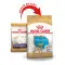 Сухий корм Royal Canin Chihuahua Puppy для цуценят породи Чіхуахуа, з м'ясом птиці і рисом, 0,5 кг