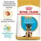 Сухий корм Royal Canin German Shepherd Puppy для цуценят Німецької вівчарки, з м'ясом птиці і рисом, 12 кг