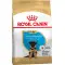 Сухий корм Royal Canin German Shepherd Puppy для цуценят Німецької вівчарки, з м'ясом птиці і рисом, 3 кг