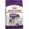 Сухий корм Royal Canin Giant Adult для дорослих собак гігантських порід, 15 кг